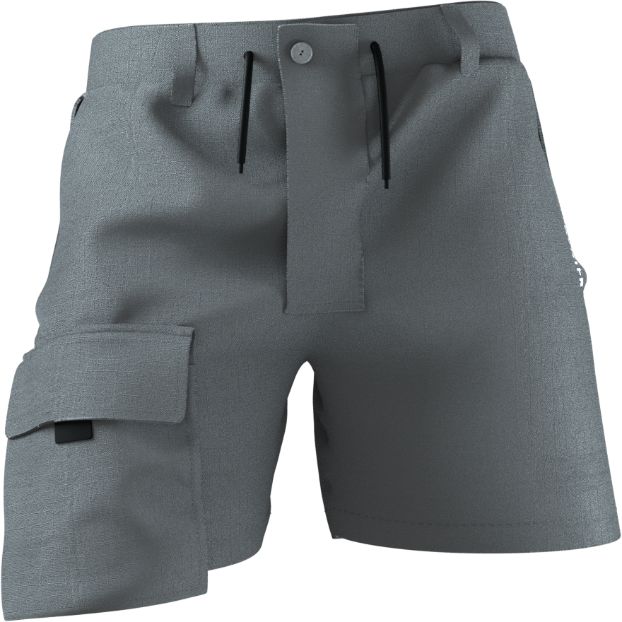 Avnier Grey Cargo Short